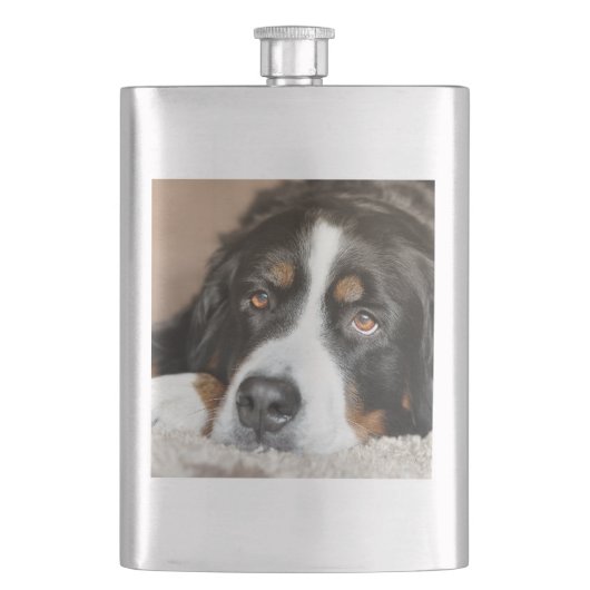 Berner Sennenhond liggend Flacon (Voorkant)