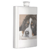 Berner Sennenhond liggend Flacon (Rechts)
