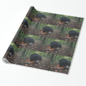 Berner Sennenhond liggend in bos Cadeaupapier (Uitgerold)
