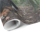 Berner Sennenhond liggend in bos Cadeaupapier (Rol Hoek)