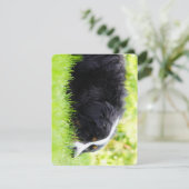 Berner Sennenhond liggend in het gras Bedankkaart (Staand voorkant)