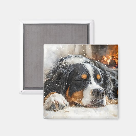 Berner Sennenhond Magneet (Voorkant / Achterkant)