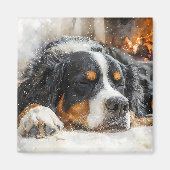 Berner Sennenhond Magneet (Voorkant)