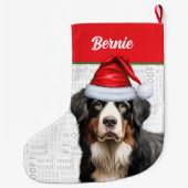 Berner Sennenhond met de naam van de hond Grote Kerstsok (Achterkant)