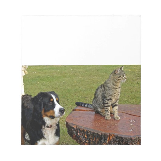 Berner Sennenhond met kat Notitieblok (Voorkant)
