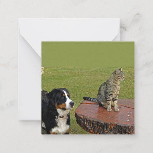 Berner Sennenhond met kat Notitiekaartje (Voorkant)