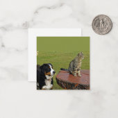 Berner Sennenhond met kat Notitiekaartje (Voorkant / Achterkant in situ)