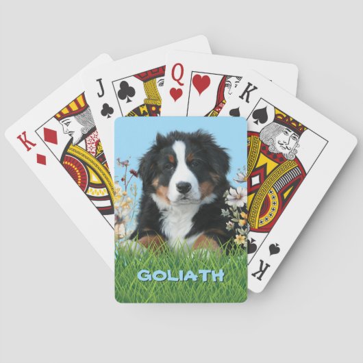 Berner Sennenhond naam Pokerkaarten (Achterkant)