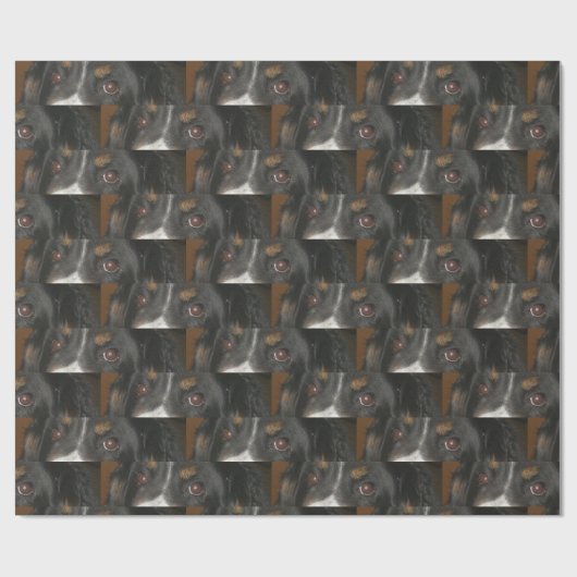 Berner Sennenhond Ogen Cadeaupapier (Vlak)