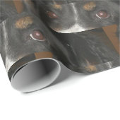 Berner Sennenhond Ogen Cadeaupapier (Rol Hoek)