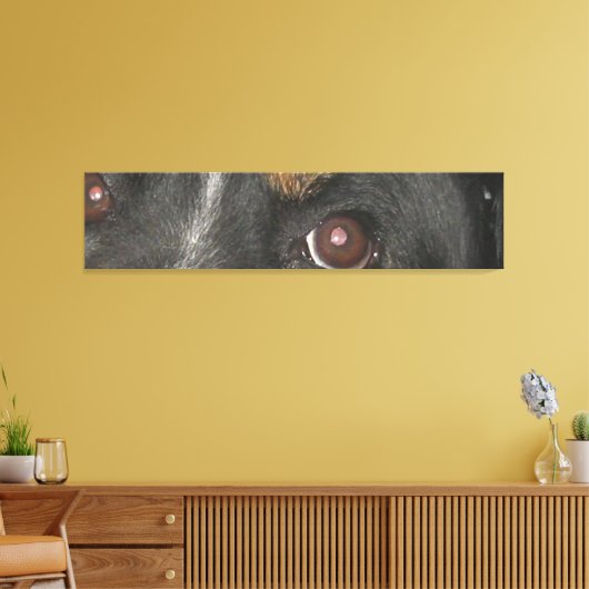Berner Sennenhond Ogen Canvas Afdruk (Insitu (Woonkamer))