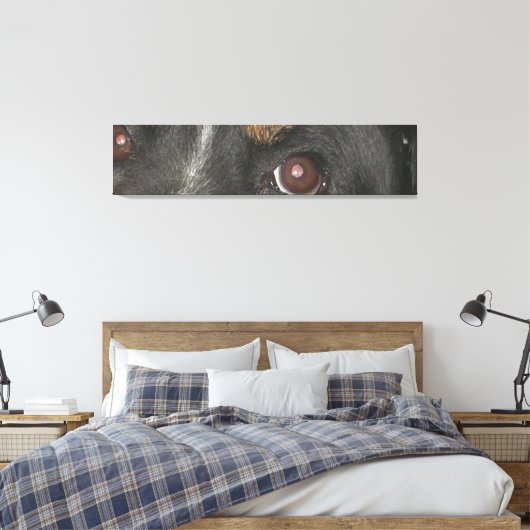 Berner Sennenhond Ogen Canvas Afdruk (Insitu (Slaapkamer))