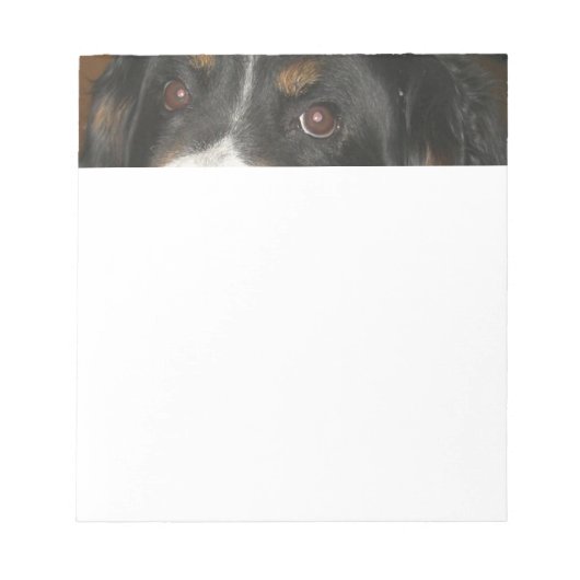 Berner Sennenhond Ogen Notitieblok (Voorkant)