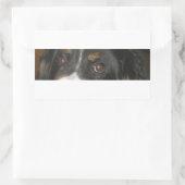 Berner Sennenhond Ogen Rechthoekige Sticker (Tas)