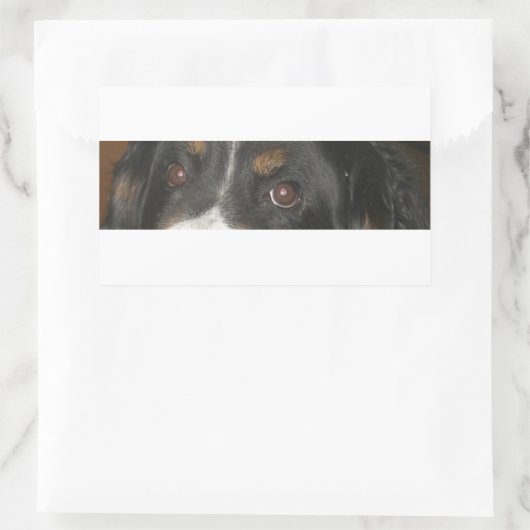 Berner Sennenhond Ogen Rechthoekige Sticker (Tas)