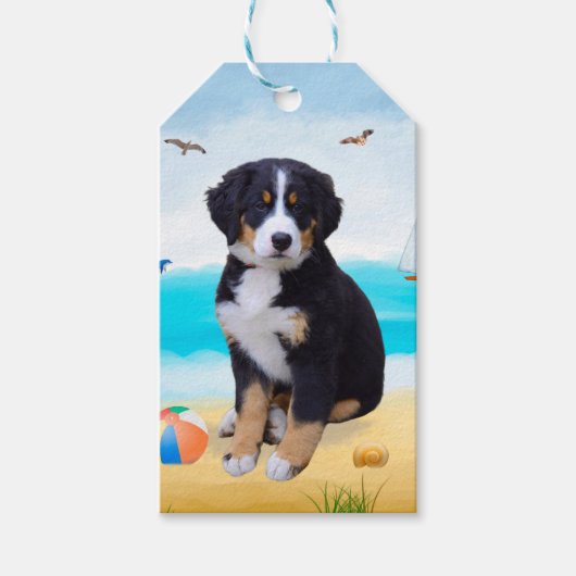 Berner Sennenhond op het strand Cadeaulabel (Voorkant)