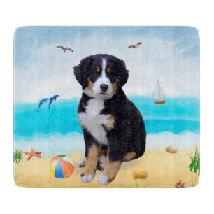 Berner Sennenhond op het strand Snijplank