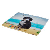 Berner Sennenhond op het strand Snijplank (Hoek)