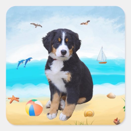 Berner Sennenhond op het strand Vierkante Sticker (Voorkant)