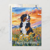 Berner Sennenhond Postcrossing - Briefkaart (Voorkant / Achterkant)