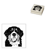 Berner sennenhond postzegel rubberstempel (Gestempeld)