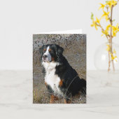 Berner Sennenhond Puppy Dog Note Kaart (Gele Bloem)