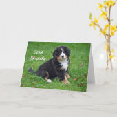 Berner Sennenhond Puppy Foto Sympathie Kaart (Gele Bloem)