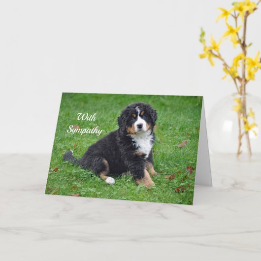 Berner Sennenhond Puppy Foto Sympathie Kaart (Gele Bloem)