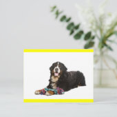 Berner Sennenhond Puppy Hond Blanke Postkaart (Staand voorkant)