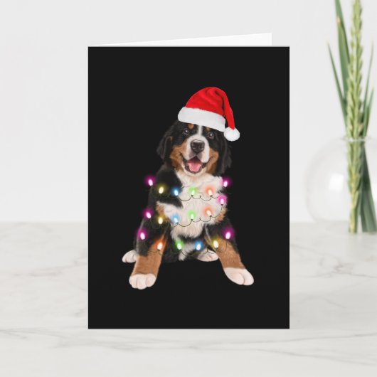 Berner Sennenhond puppy kerstcadeau Kaart (Voorkant)