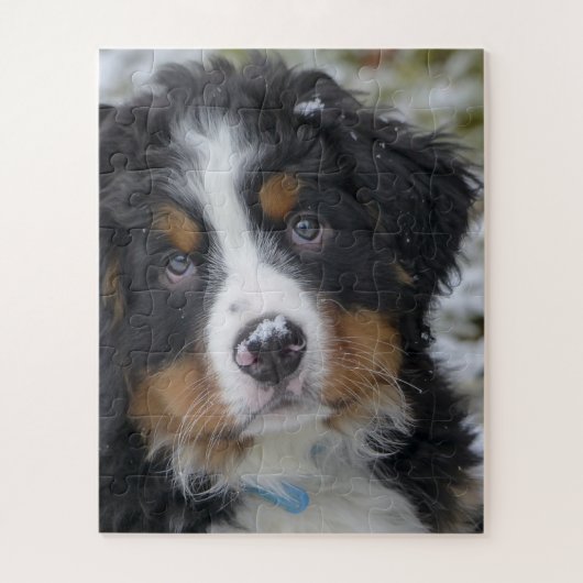 Berner Sennenhond Puppy Tweede Legpuzzel (Verticaal)