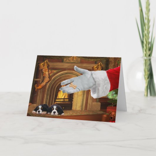 Berner Sennenhond Pups Kerstvakantie Kaart (Voorkant)