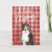 Berner Sennenhond Red Plaid Kerstmis Feestdagen Kaart (Voorkant)