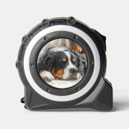 Berner Sennenhond Rolmaat