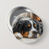 Berner Sennenhond Ronde Button 7,6 Cm (Voorkant /achterkant)