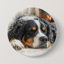 Berner Sennenhond