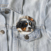 Berner Sennenhond Ronde Button 7,6 Cm (In situ)