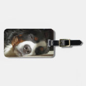Berner Sennenhond slapen Bagagelabel (Voorkant horizontaal)