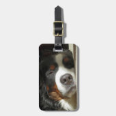 Berner Sennenhond slapen Bagagelabel (Voorkant verticaal)