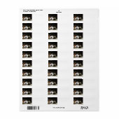 Berner Sennenhond slapen Etiket (Full Sheet)