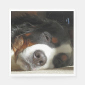 Berner Sennenhond slapen Servet (Voorkant)