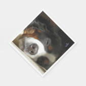 Berner Sennenhond slapen Servet (Hoek)
