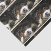 Berner Sennenhond slapen Tissuepapier (Detail)