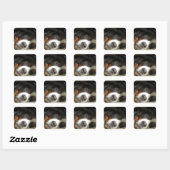 Berner Sennenhond slapen Vierkante Sticker (Vel)