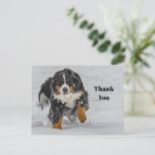 Berner Sennenhond Sneeuw Foto Bedankt Briefkaart (Staand voorkant)