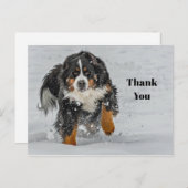 Berner Sennenhond Sneeuw Foto Bedankt Briefkaart (Voorkant / Achterkant)