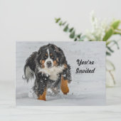 Berner Sennenhond Sneeuwfoto Verjaardag Kaart (Staand voorkant)