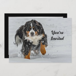 Berner Sennenhond Sneeuwfoto Verjaardag Kaart