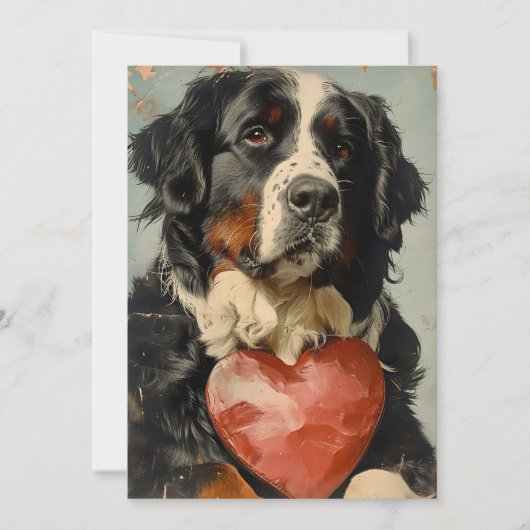 Berner sennenhond Valentijnsdag Feestdagenkaart (Voorkant)