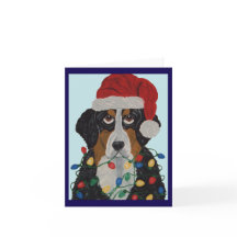 Berner Sennenhond Verward In Kerstverlichting